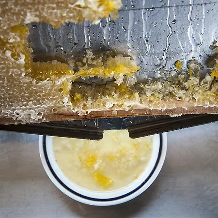 Hotel Delle Province Řím