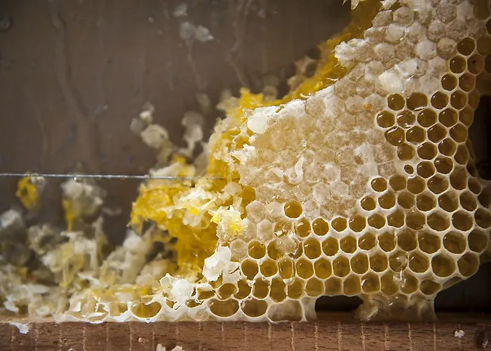 Hotel Delle Province Roma