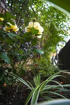 Hotel Delle Province 4*