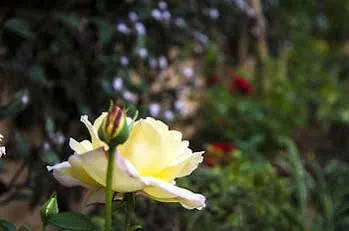 Delle Province 4* Roma